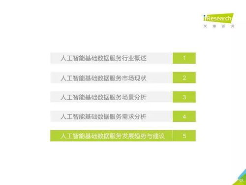 中國人工智能基礎數據服務行業與基礎軟件開發 協同驅動智能未來