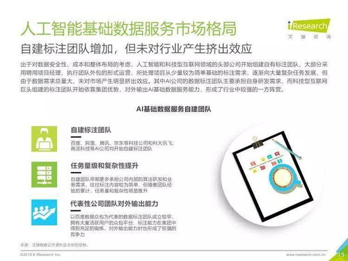 中國人工智能基礎(chǔ)數(shù)據(jù)服務(wù)行業(yè)報告 人工智能基礎(chǔ)軟件開發(fā)的動力引擎與未來趨勢